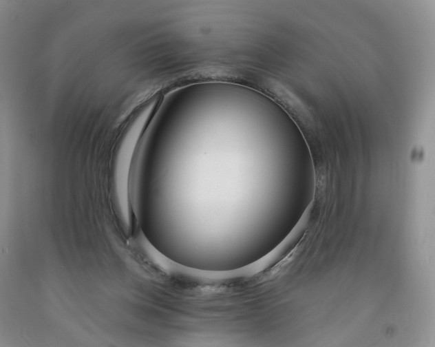 X0000091980158200709201434