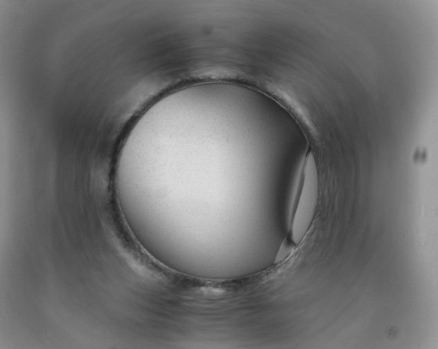 X0000091980159200709201434