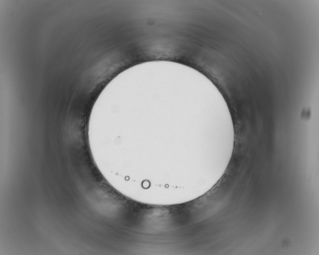 X0000091980162200709201434