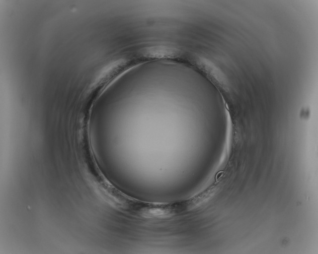 X0000091980163200709201434