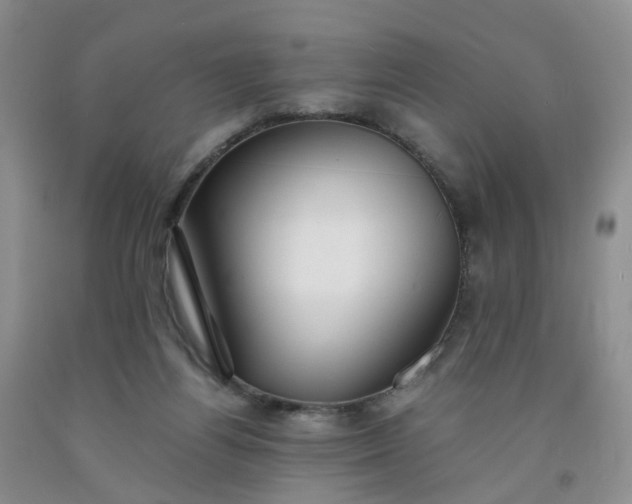 X0000091980164200709201434