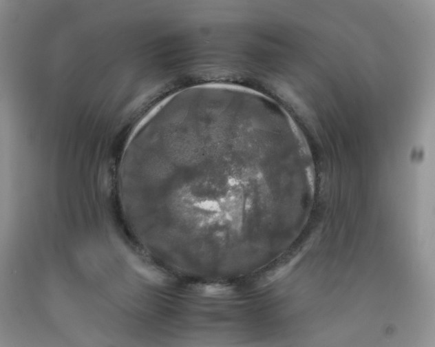 X0000091980165200709201434