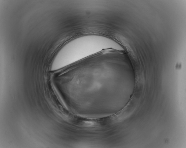 X0000091980167200709201434