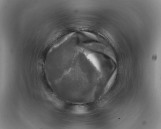 X0000091980169200709201434