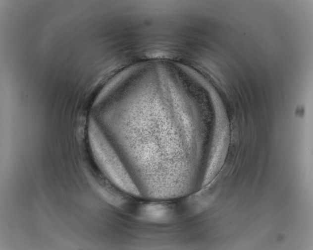 X0000091980171200709201434