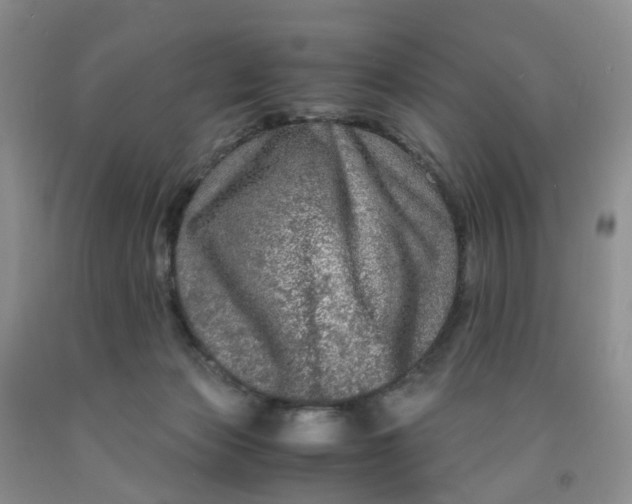 X0000091980173200709201434