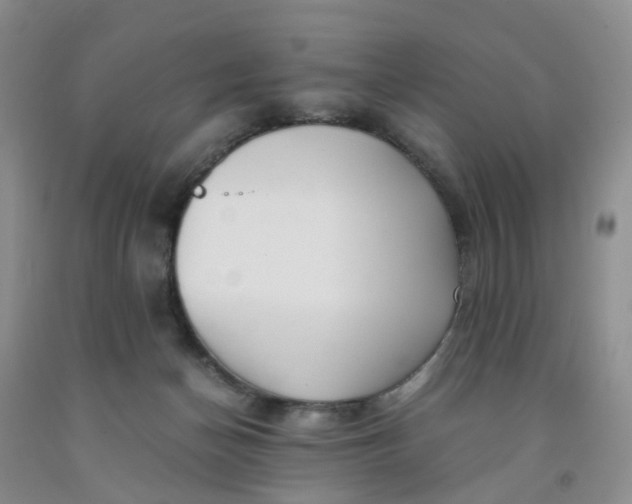 X0000091980174200709201434