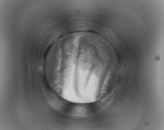 X0000091980175200709201434