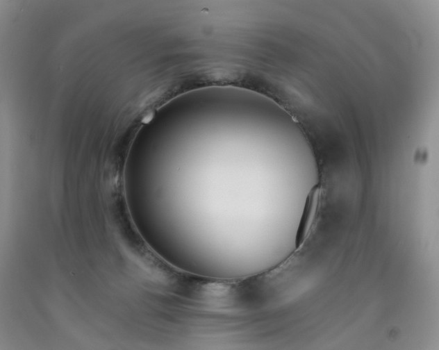 X0000091980176200709201434