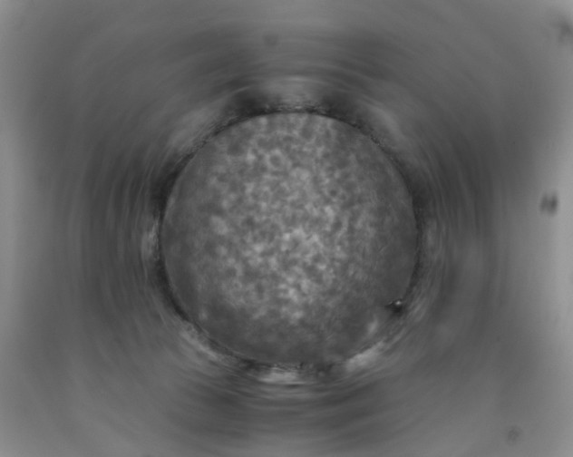 X0000091980177200709201434