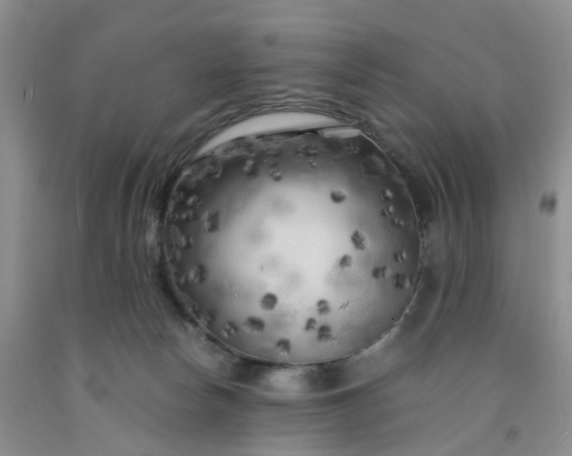 X0000091980178200709201434