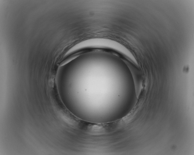 X0000091980180200709201434