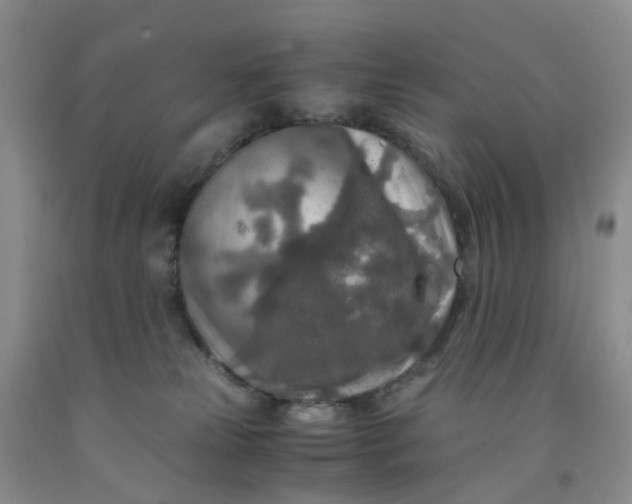 X0000091980181200709201434