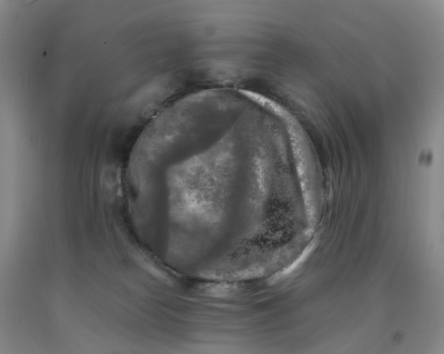 X0000091980182200709201434