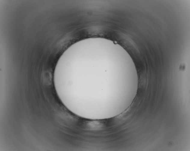 X0000091980183200709201434