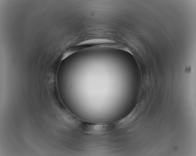 X0000091980184200709201434