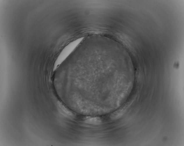 X0000091980185200709201434