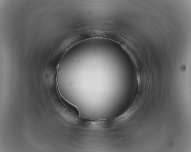 X0000091980188200709201434