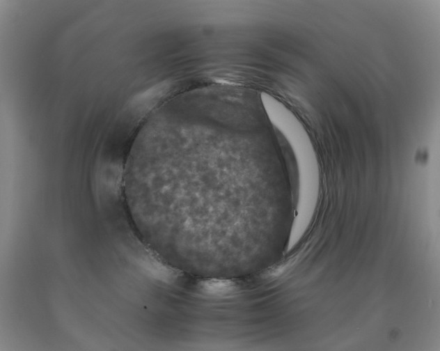 X0000091980189200709201434