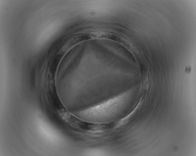 X0000091980191200709201434