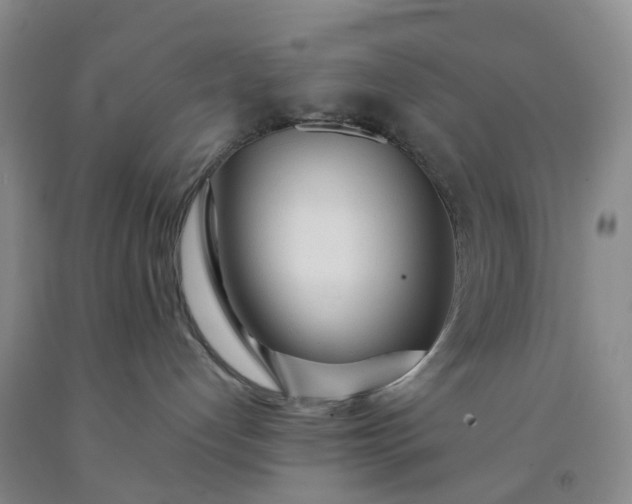 X0000091980192200709201434