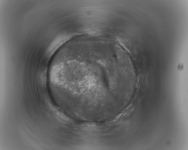 X0000091980194200709201434