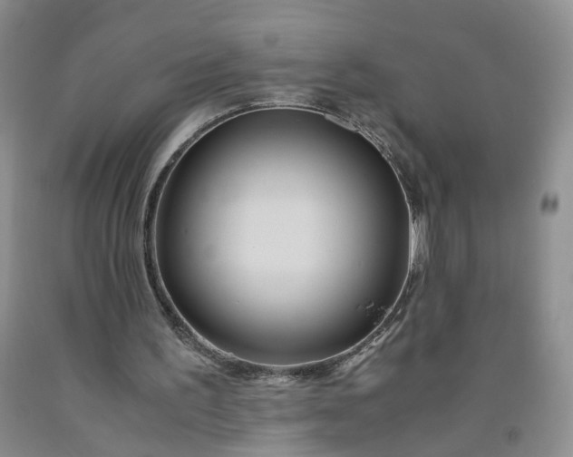 X0000091980195200709201434