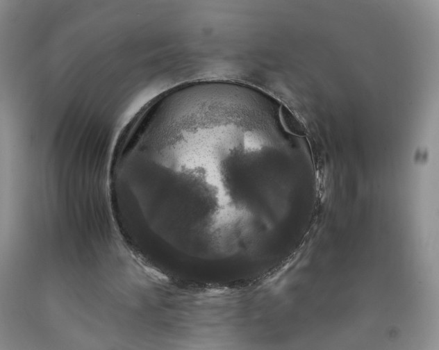 X0000091980196200709201434