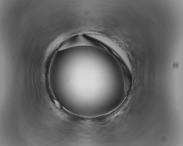 X0000091980197200709201433