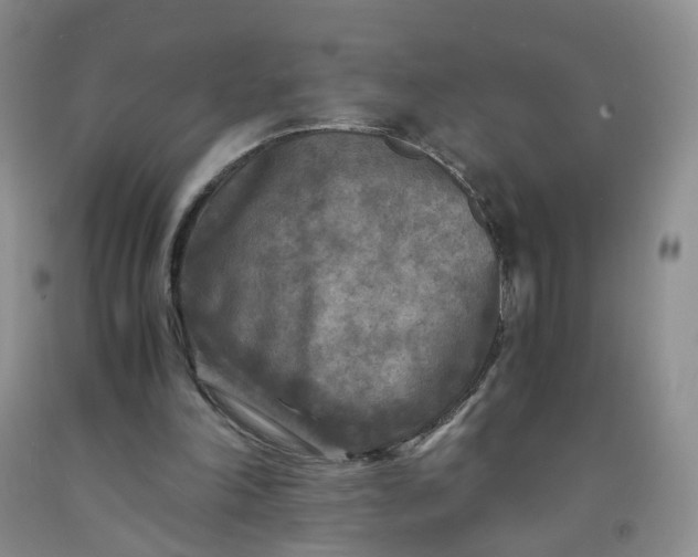 X0000091980198200709201433