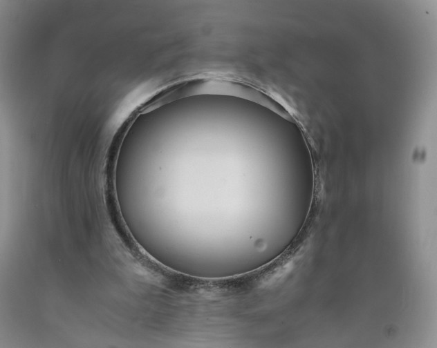 X0000091980199200709201433