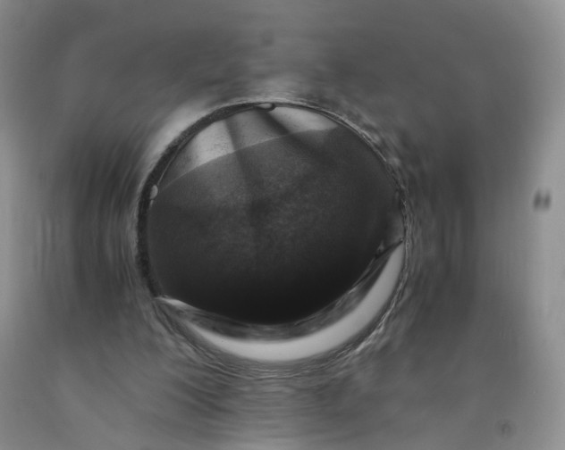 X0000091980200200709201433