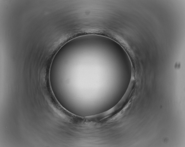 X0000091980201200709201433