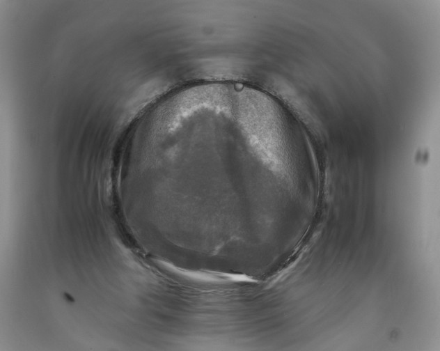 X0000091980202200709201433