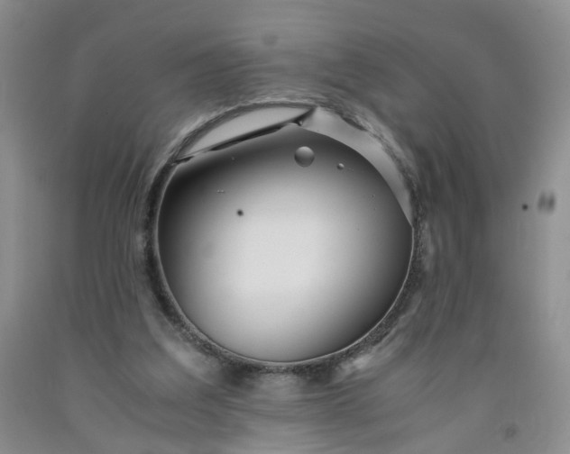 X0000091980203200709201433