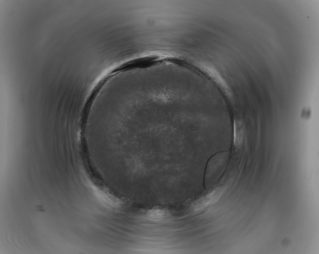 X0000091980204200709201433