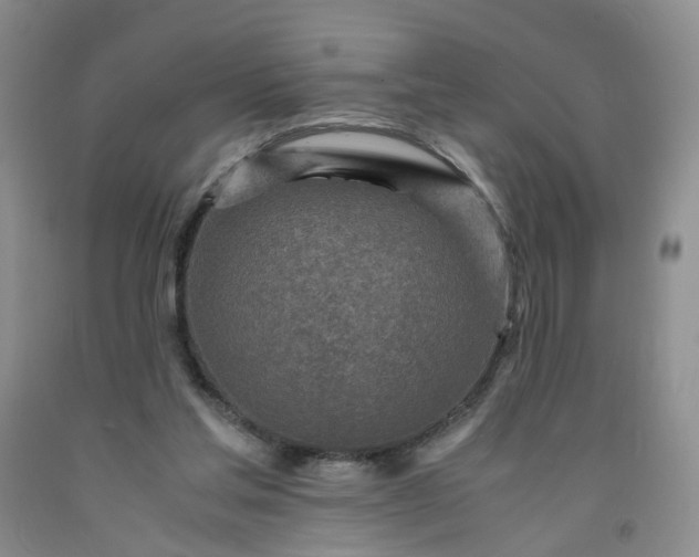 X0000091980205200709201433