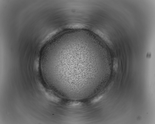 X0000091980206200709201433