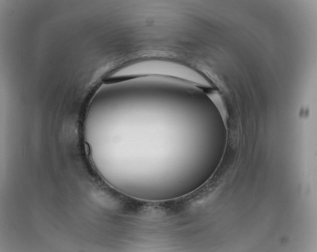 X0000091980207200709201433