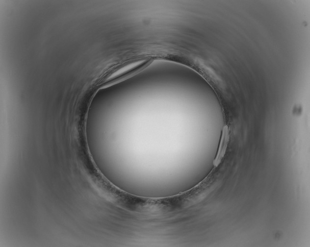 X0000091980209200709201433