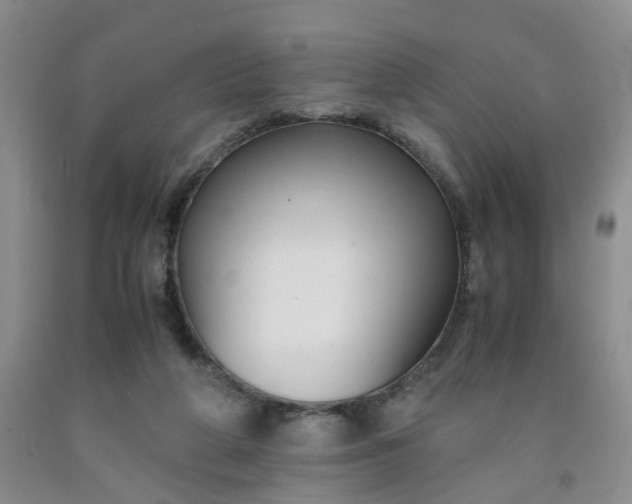 X0000091980210200709201433