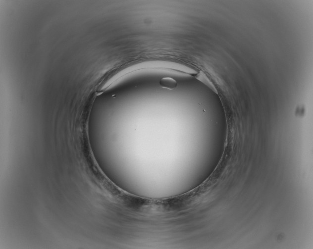 X0000091980211200709201433