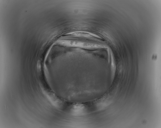 X0000091980214200709201433