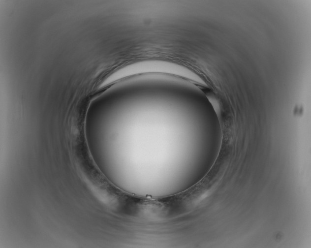 X0000091980215200709201433