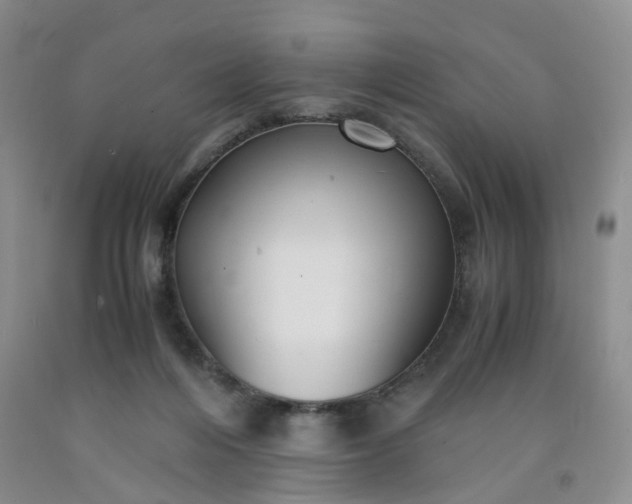 X0000091980216200709201433