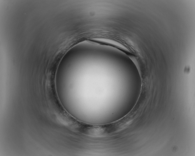 X0000091980217200709201433