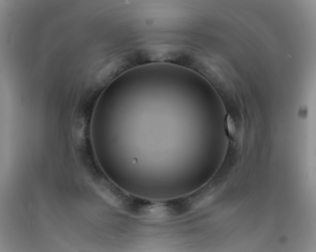 X0000091980219200709201433