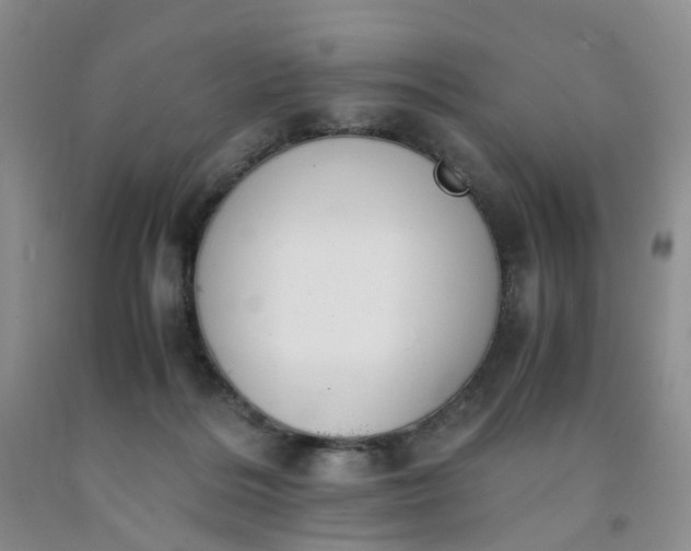 X0000091980220200709201433