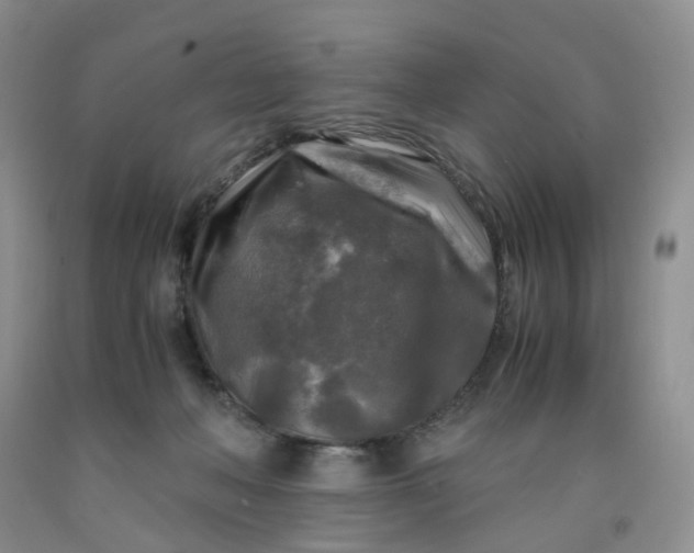 X0000091980222200709201433