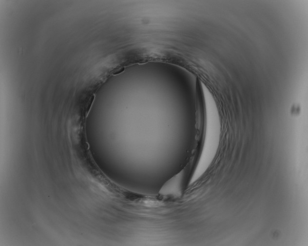 X0000091980223200709201433